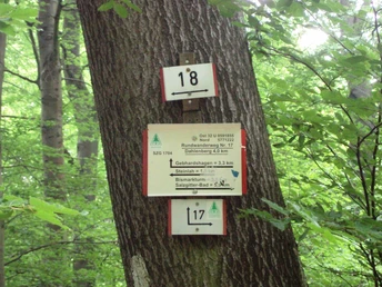 Salzgitter Höhenzug, Wanderwege 17 und 18 paralleler Abschnitt