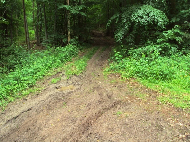 Salzgitter-Gebhardshagen, Wanderwege 17 und 18 Aufstieg zum Kammweg