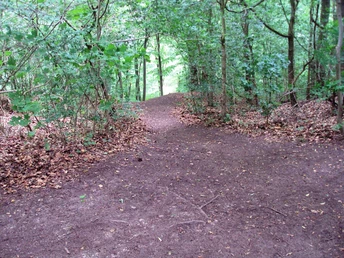 Salzgitter-Gebhardshagen, Wanderweg 17 Abstieg vom Kammweg beim Reihersee aus