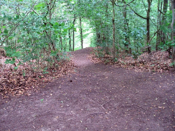 Salzgitter-Gebhardshagen, Wanderweg 17 Abstieg vom Kammweg beim Reihersee aus