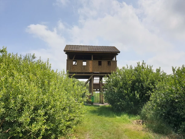 Aussichtsturm
