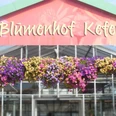 Blumen Kefer
