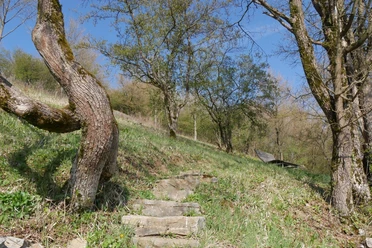 Landschaftsliege am Kiepenberg Steinpfad führt sanft durch grüne Wiese zu einer ruhenden Holzliege unter ausladenden Bäumen.