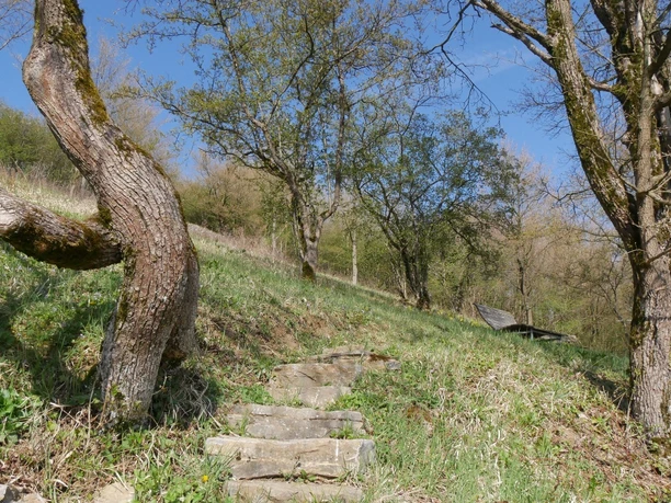 Landschaftsliege am Kiepenberg Steinpfad führt sanft durch grüne Wiese zu einer ruhenden Holzliege unter ausladenden Bäumen.