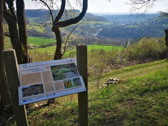 Infotafel am Picknickplatz am Kiepenberg Infotafel im Vordergrund mit Detail zu Flora und Fauna, im Hintergrund sanfte Hügel und Talansicht.