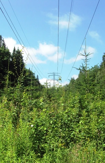 Salzgitter Höhenzug, Wanderweg 23 Hochspannungsleitung