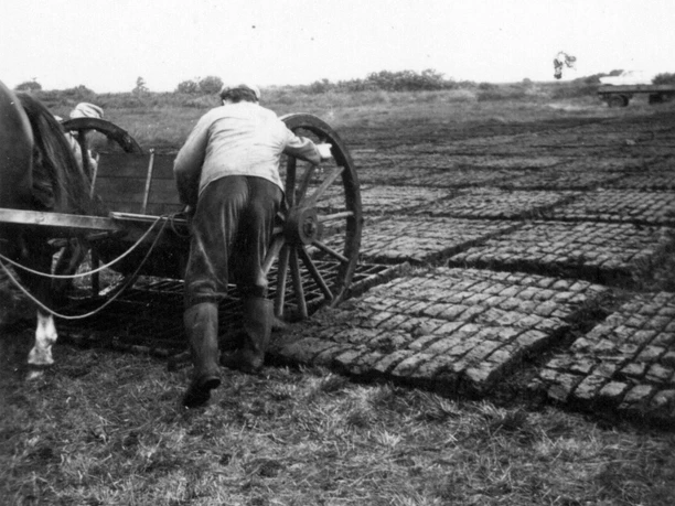 Torfbacken im Süderholmer Moor