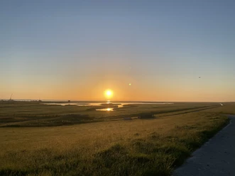 Sonnenaufgang- Salzwiesen
