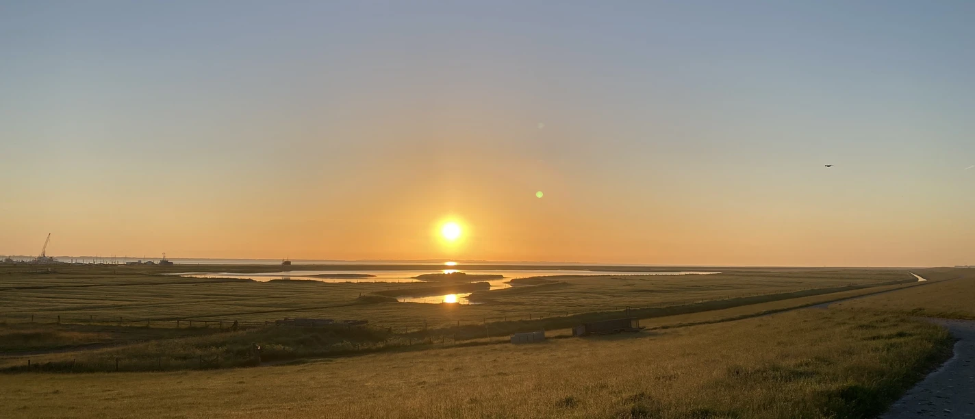 Sonnenaufgang- Salzwiesen