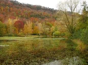 Herbstlicher See mit buntem Laub, umgeben von bewaldeten Hügeln im Naturschutzgebiet.