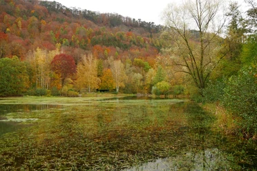 Naturschutzgebiet Grundlose-Taubenborn Herbstlicher See mit buntem Laub, umgeben von bewaldeten Hügeln im Naturschutzgebiet.
