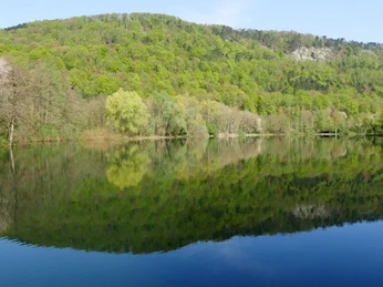 Waldreicher Hügel spiegelt sich in einem ruhigen See, umgeben von frühlingsgrüner Natur.