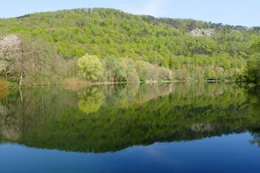 Naturschutzgebiet Grundlose-Taubenborn Waldreicher Hügel spiegelt sich in einem ruhigen See, umgeben von frühlingsgrüner Natur.
