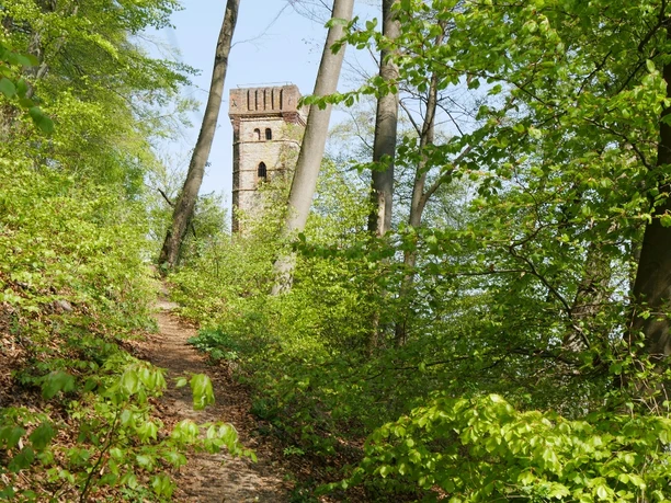 Turm im Wald