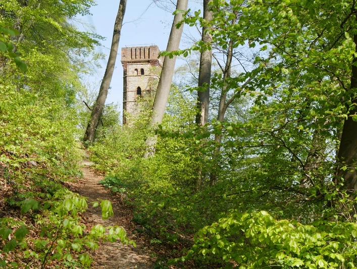 Turm im Wald