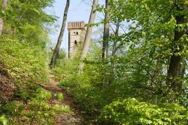 Rodeneckturm Turm im Wald