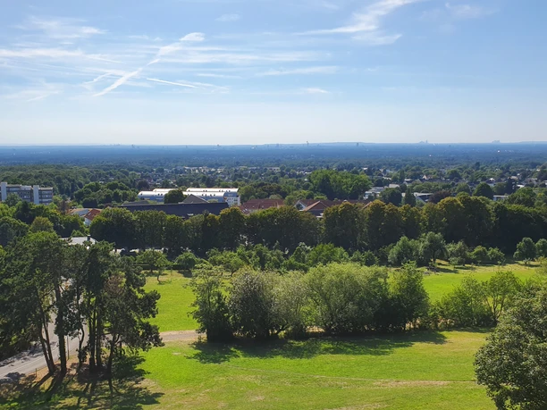 Blick vom KSH auf Köln Panoramablick über eine grüne Parklandschaft mit Bäumen, im Hintergrund eine weitläufige Stadtansicht.