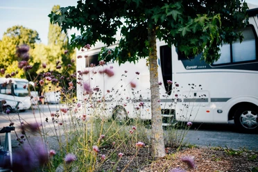 Wohnmobilstellplatz Flachsheide Wohnmobile parken unter grünen Bäumen, im Vordergrund blühende Blumen, die Sommerstimmung erzeugen.
