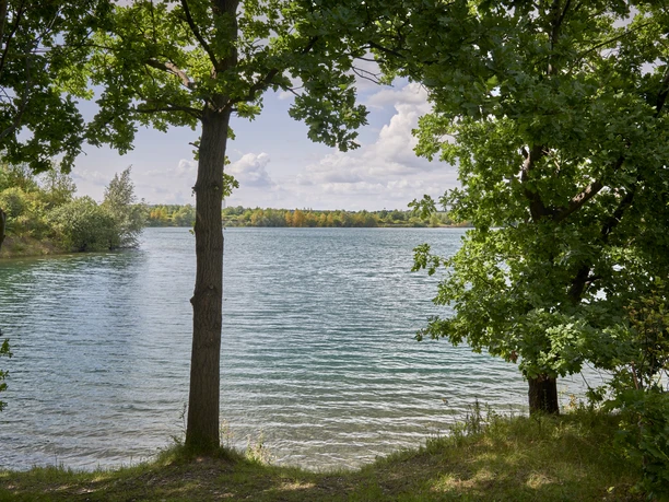 Vogelbeobachtungsturm Kiesteich Isingerode Vogelbeobachtungsturm Kiesteich Isingerode