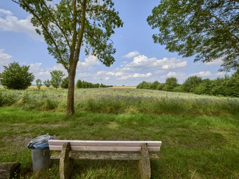 Kraftort Semmenstedt Kraftort Semmenstedt