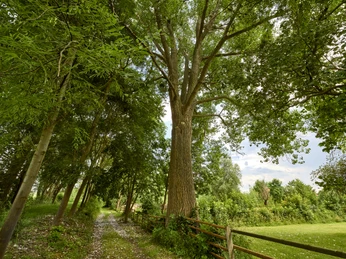 Kraftort Semmenstedt Kraftort Semmenstedt