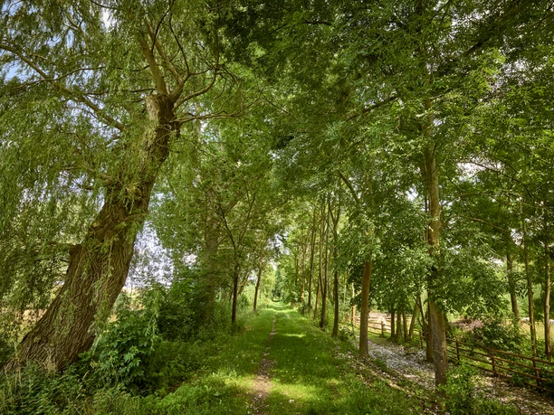 Kraftort Semmenstedt Kraftort Semmenstedt