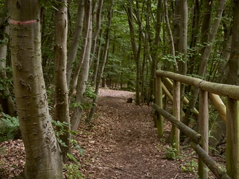 Erlebnissteinbruch Evessen Erlebnissteinbruch Evessen