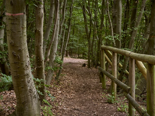 Erlebnissteinbruch Evessen Erlebnissteinbruch Evessen