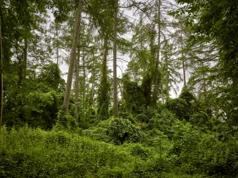 Erlebnissteinbruch Evessen Erlebnissteinbruch Evessen