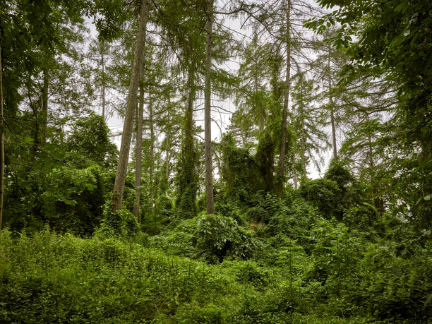 Erlebnissteinbruch Evessen Erlebnissteinbruch Evessen