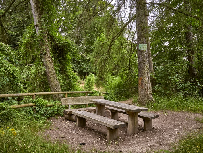 Erlebnissteinbruch Evessen Erlebnissteinbruch Evessen