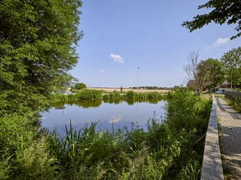 Picknickplatz am Teich in Salzdahlum Picknickplatz am Teich in Salzdahlum