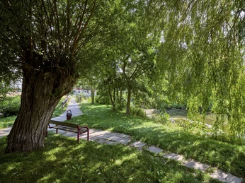 Picknickplatz am Teich in Salzdahlum Picknickplatz am Teich in Salzdahlum