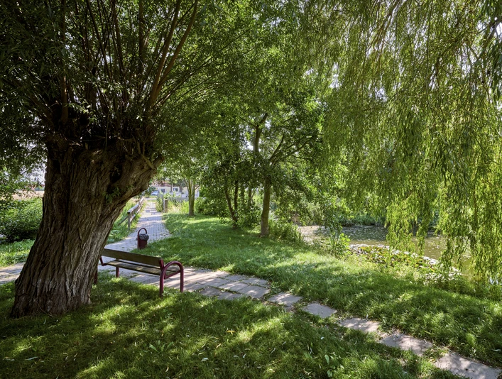Picknickplatz am Teich in Salzdahlum Picknickplatz am Teich in Salzdahlum