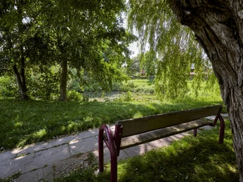 Picknickplatz am Teich in Salzdahlum Picknickplatz am Teich in Salzdahlum
