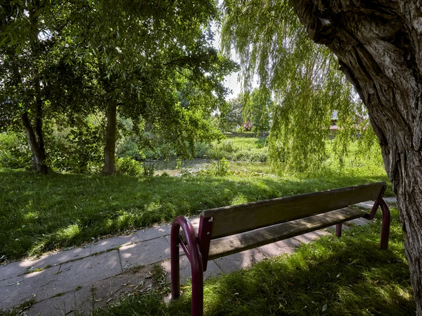 Picknickplatz am Teich in Salzdahlum Picknickplatz am Teich in Salzdahlum