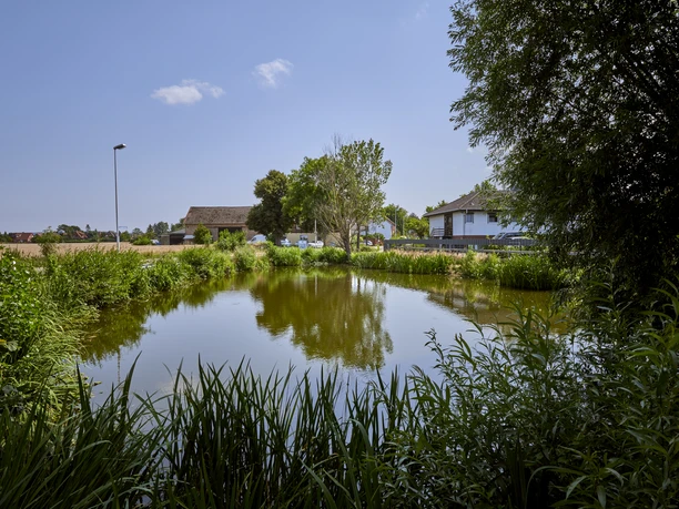 Picknickplatz am Teich in Salzdahlum Picknickplatz am Teich in Salzdahlum