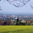 Blick über ein gelbes Blumenfeld auf die Stadt Lemgo, umgeben von sanften Hügeln und blühenden Bäumen.