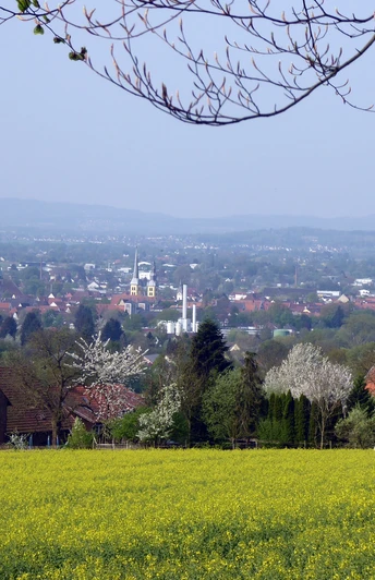 Blick vom Landwehrweg nach SW über Lemgo Blick über ein gelbes Blumenfeld auf die Stadt Lemgo, umgeben von sanften Hügeln und blühenden Bäumen.