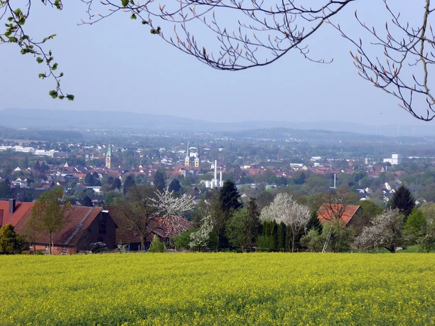 Blick vom Landwehrweg nach SW über Lemgo Blick über ein gelbes Blumenfeld auf die Stadt Lemgo, umgeben von sanften Hügeln und blühenden Bäumen.