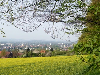 Blick vom Landwehrweg nach SW über Lemgo Weitläufige Sicht über blühende Felder mit Baum und Stadt Lemgo im Hintergrund, leicht bewölkter Himmel.