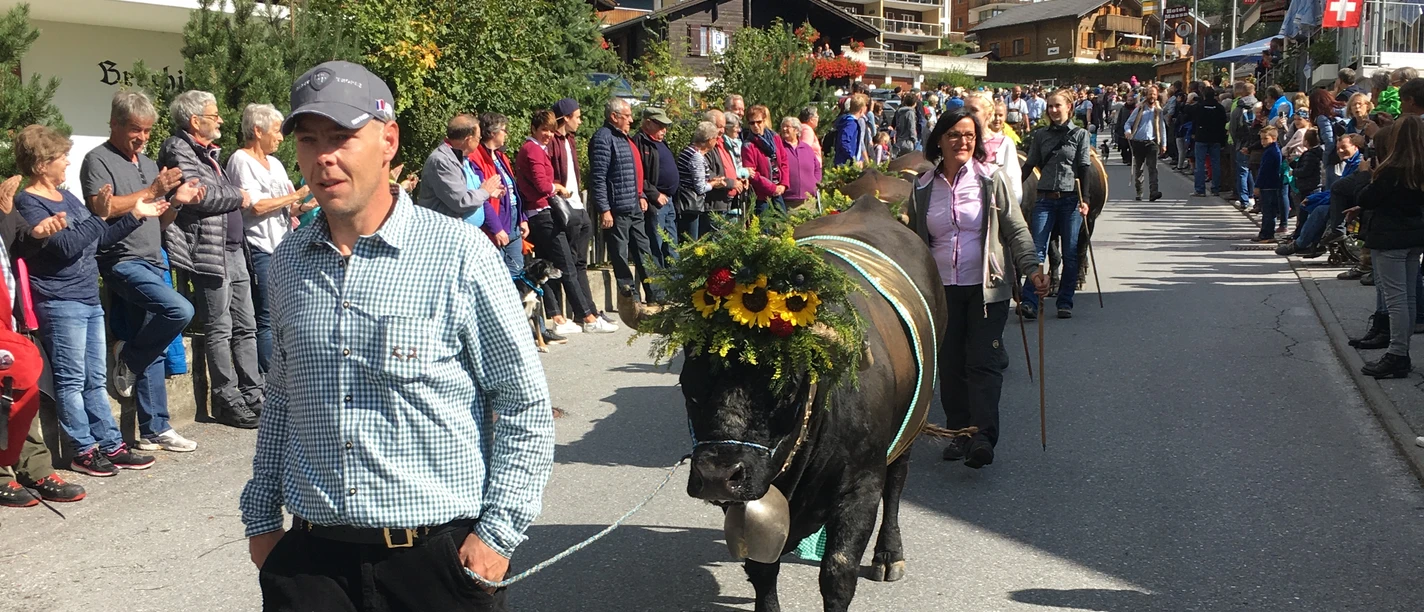 Alpabfahrt.JPG
