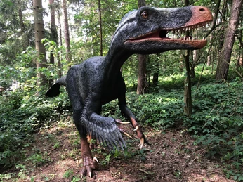 Ein lebensgroßer Dinosaurier steht im dichten Wald, zeigt Zähne und bewegt sich durch das grüne Dickicht.A life-size dinosaur stands in the dense forest, baring its teeth and moving through the green thicket.En dinosaur i naturlig størrelse står i den tætte skov, blotter sine tænder og bevæger sig gennem det grønne krat.Een levensgrote dinosaurus staat in het dichte bos, ontbloot zijn tanden en beweegt zich door het groene struikgewas.