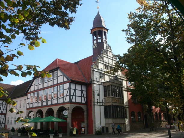 Rathaus Historic half-timbered town hall with red tiled roofs and clock tower on a tree-lined square.