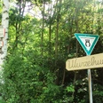 Salzgitter Höhenzug, Wanderweg 7 Waldeingang bei Othfresen