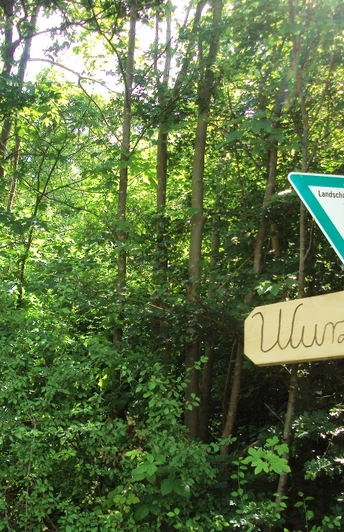 Salzgitter Höhenzug, Wanderweg 7 Waldeingang bei Othfresen