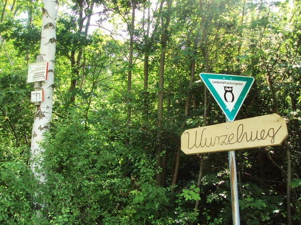 Salzgitter Höhenzug, Wanderweg 7 Waldeingang bei Othfresen