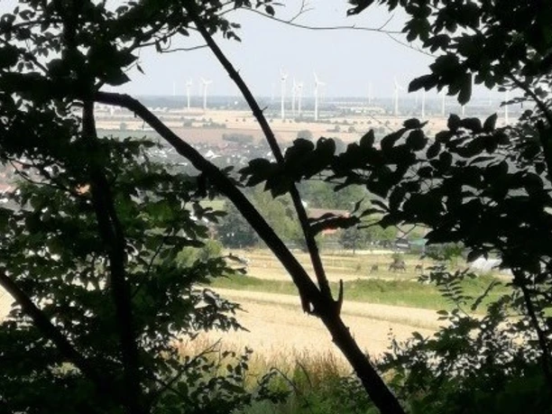 Salzgitter Höhenzug, Wanderweg 24 Ausblick