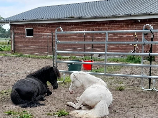 Ponyreitschule Otterndorf