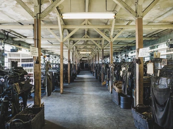 Websaal der Tuchfabrik Gebr. Pfau Crimmitschau